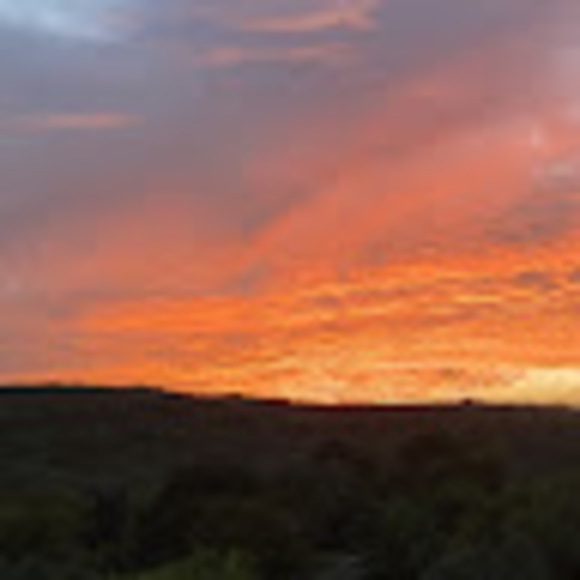 Meet your Posher, Ashley - Picture 1 of 1